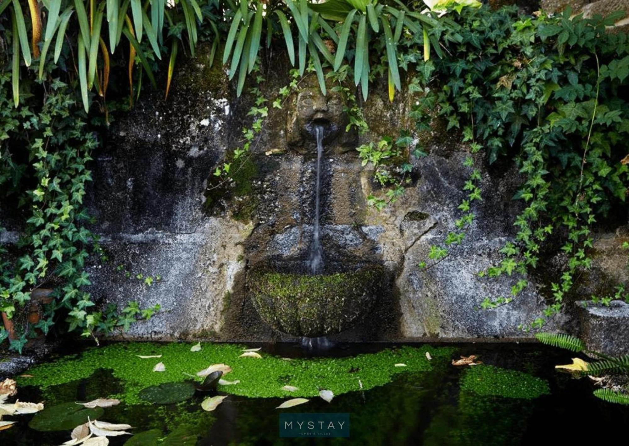 Quinta da Balança Vila Terras de Bouro Exterior foto