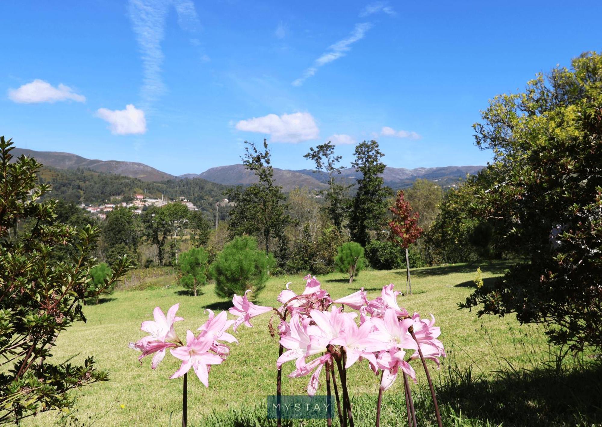 Quinta da Balança Vila Terras de Bouro Exterior foto